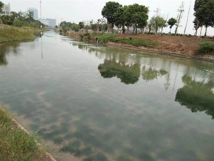 特氟龍布帶